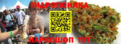 apvp Балашиха