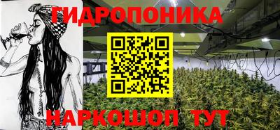 apvp Балашиха