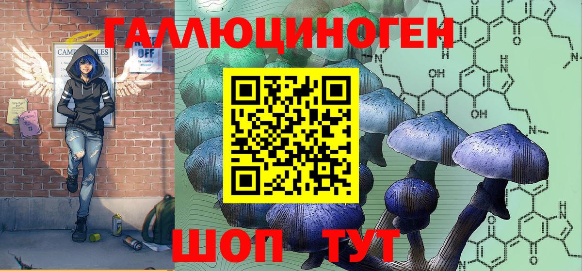 Галлюциногенные грибы Cubensis Гусиноозёрск