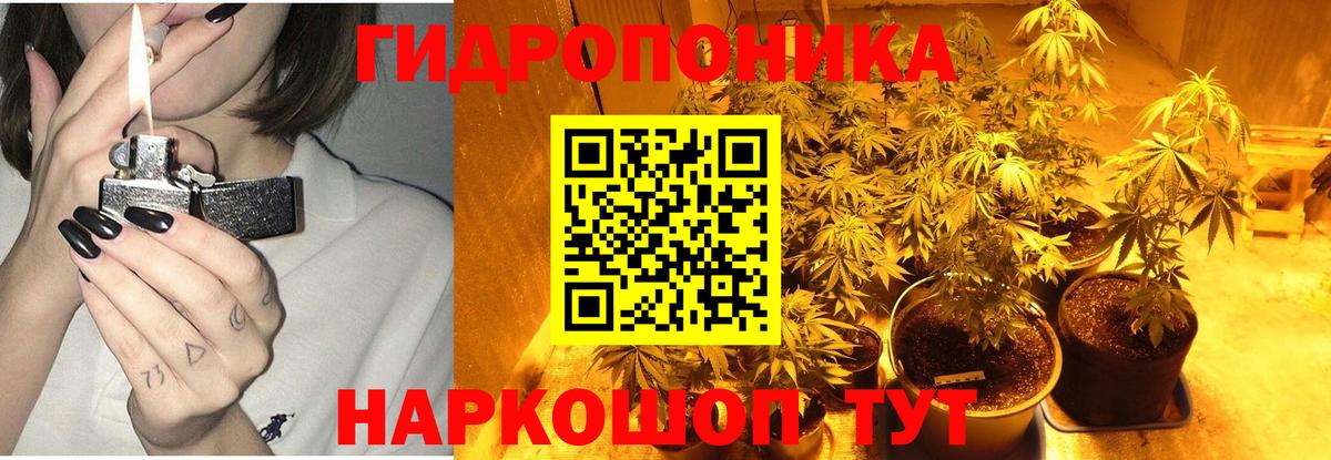 Канабис гибрид  Каннабис сатива  Вход с VPN  Гусиноозёрск 