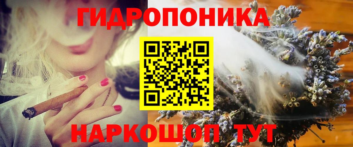 Каннабис индика Гусиноозёрск